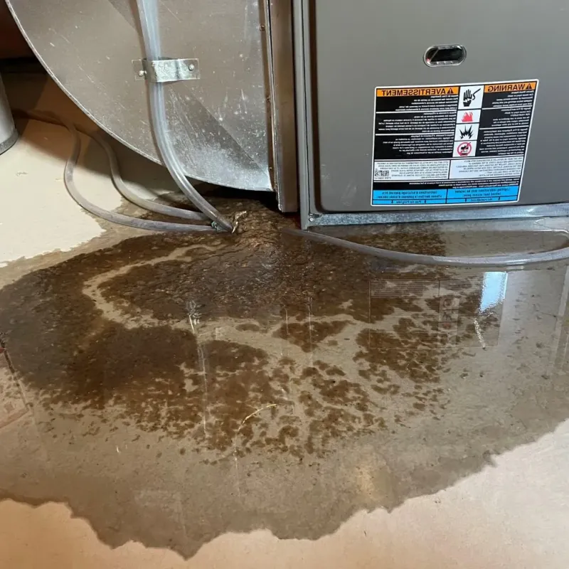 Pipe Burst and Leak Restoration in Chestnut Ridge, NY